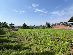 3.8 Acres Commercial Plot for Sale at Arusha