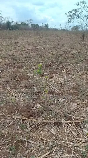Shamba Safi Linauzwa Miono Chalize