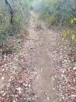 Shamba Linauzwa Miono Pwan