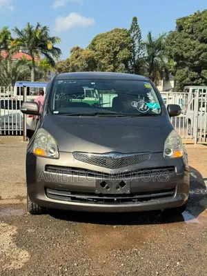 Toyota Ractis 2009 Gray