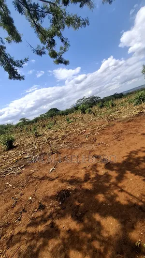 Hector 42 at Morogoro Mikese 