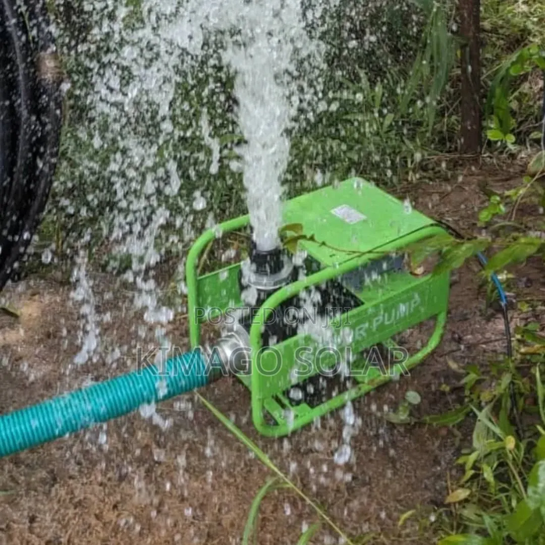 Original 1HP AC DC Surface Pump