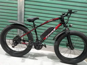 Electric Bicycle
