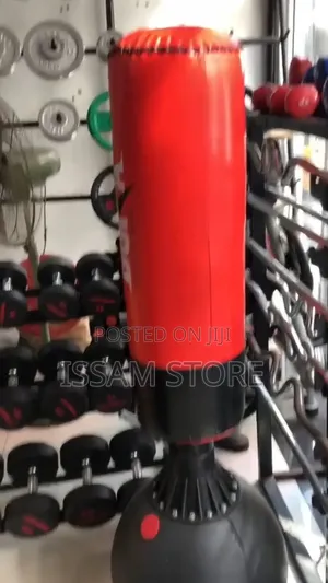 Punching and Kicking Bag