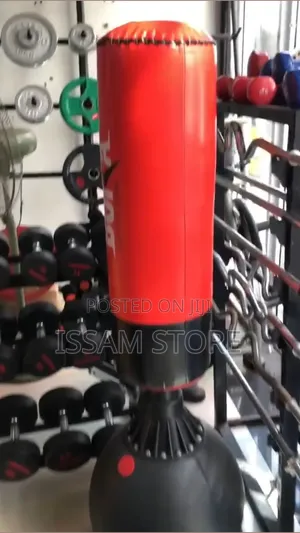 Punching and Kicking Bag