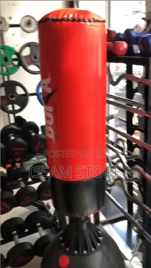 Punching and Kicking Bag