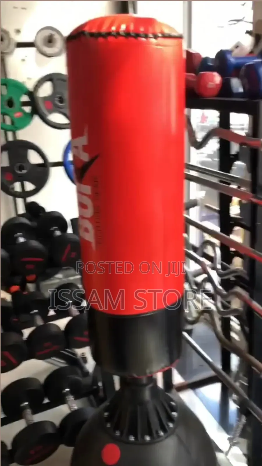 Punching and Kicking Bag
