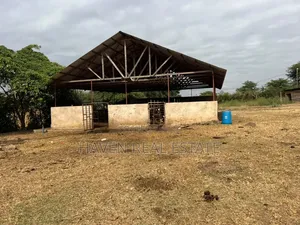 Premium Investment Opportunity in Arusha-Mateves