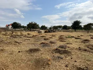 Premium Investment Opportunity in Arusha-Mateves
