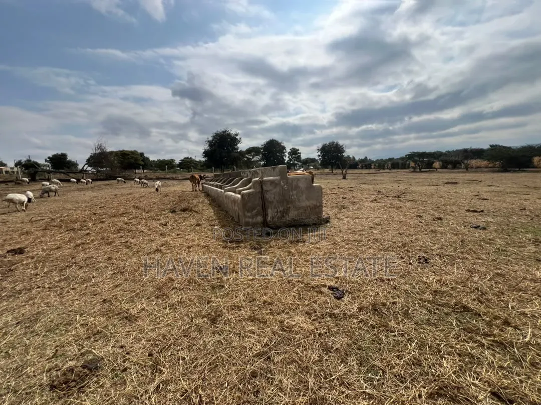 Premium Investment Opportunity in Arusha-Mateves
