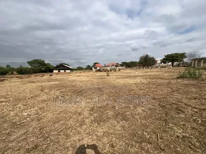 Premium Investment Opportunity in Arusha-Mateves