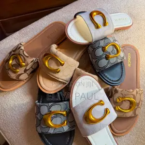 Coach Slide C Buckle