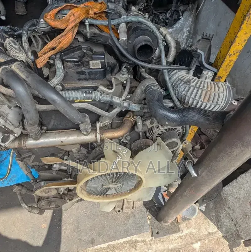 Yd25 Nissan Navara