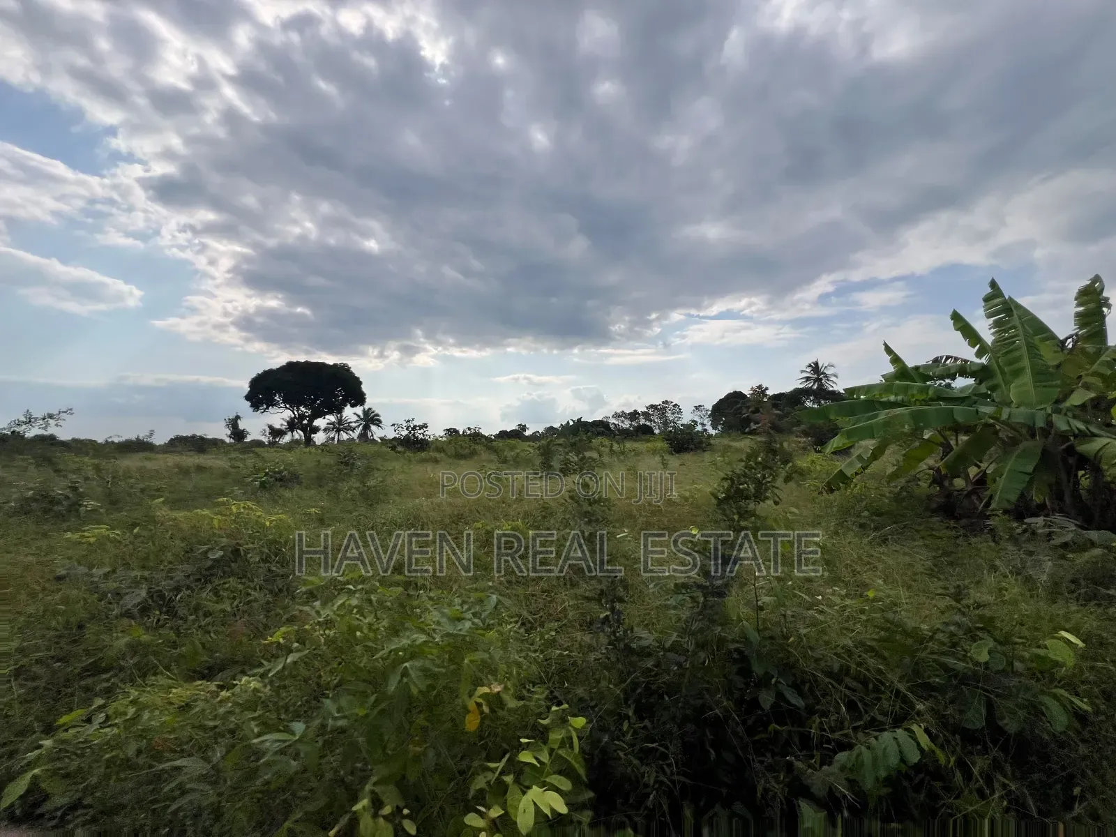 *Premium Plot: 30 Acres in Kisarawe at an Unbeatable Price!*