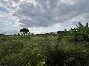 *Premium Plot: 30 Acres in Kisarawe at an Unbeatable Price!*
