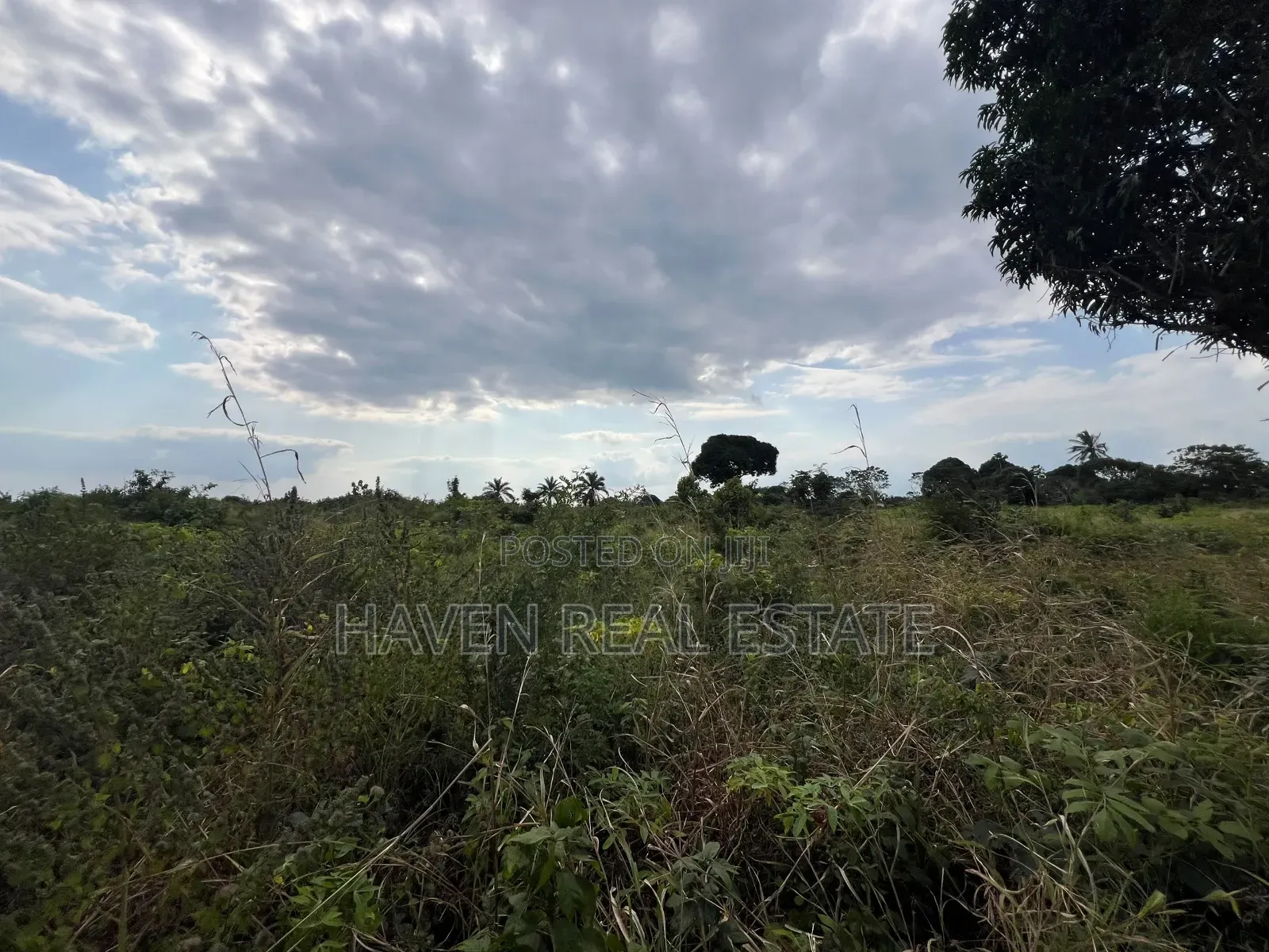 *Premium Plot: 30 Acres in Kisarawe at an Unbeatable Price!*
