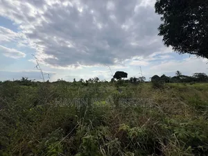 *Premium Plot: 30 Acres in Kisarawe at an Unbeatable Price!*
