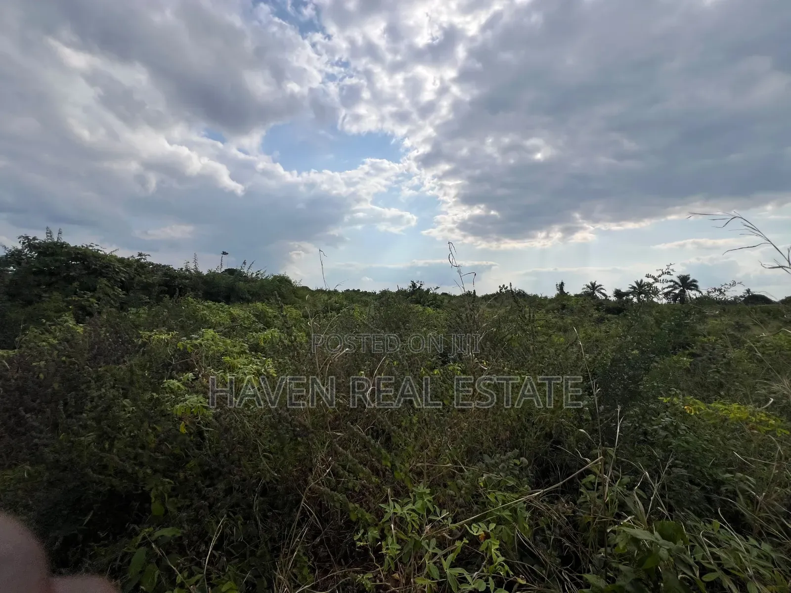 *Premium Plot: 30 Acres in Kisarawe at an Unbeatable Price!*