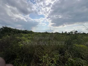 *Premium Plot: 30 Acres in Kisarawe at an Unbeatable Price!*