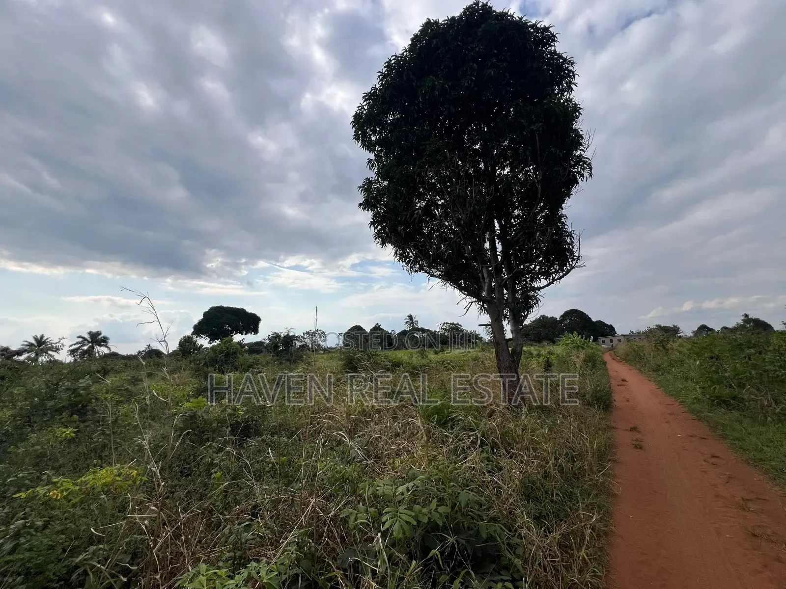 *Premium Plot: 30 Acres in Kisarawe at an Unbeatable Price!*