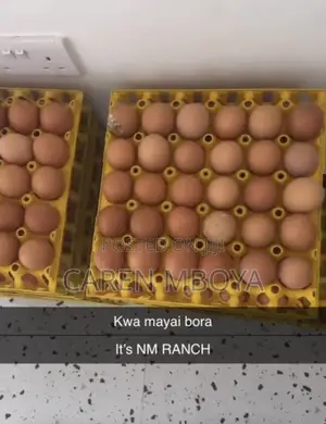 NM Ranch Farm