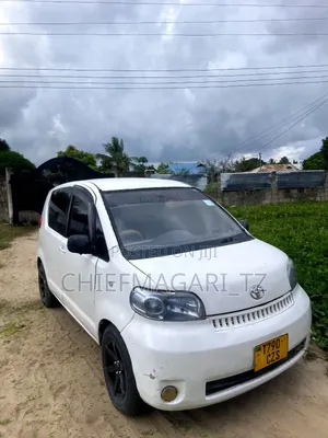 Toyota Porte 2004 Pearl