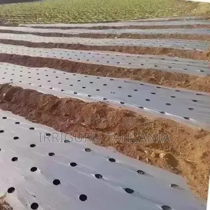 Bean Mulch Film