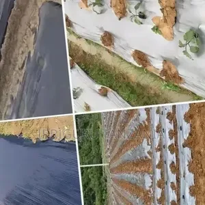 Potatoes Mulch Film