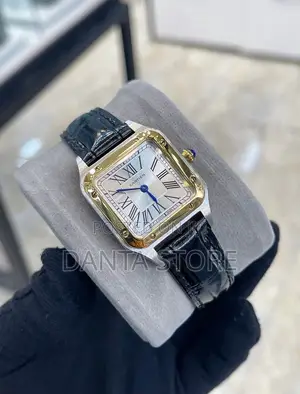 Cartier Santos-Dumont Watches