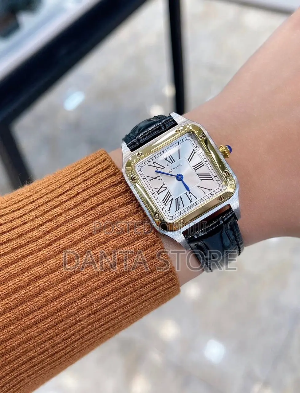 Cartier Santos-Dumont Watches