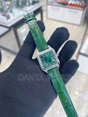Cartier Santos-Dumont Watches