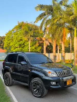 Toyota Land Cruiser Prado 2004 Gray