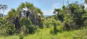 Beach View Dege Kigamboni