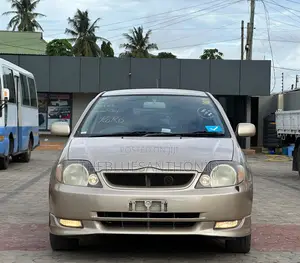 Toyota Allex 2005 Gold