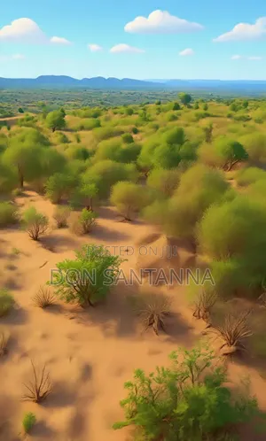 Viwanja Viwanja