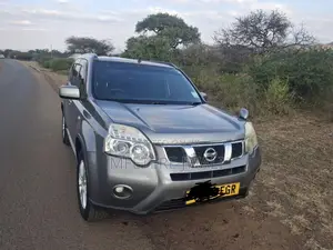 Nissan X-Trail 2010 Gray
