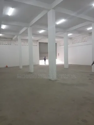 Modern Warehouse for Rent - Chang'ombe Temeke (1,100 Sqm)