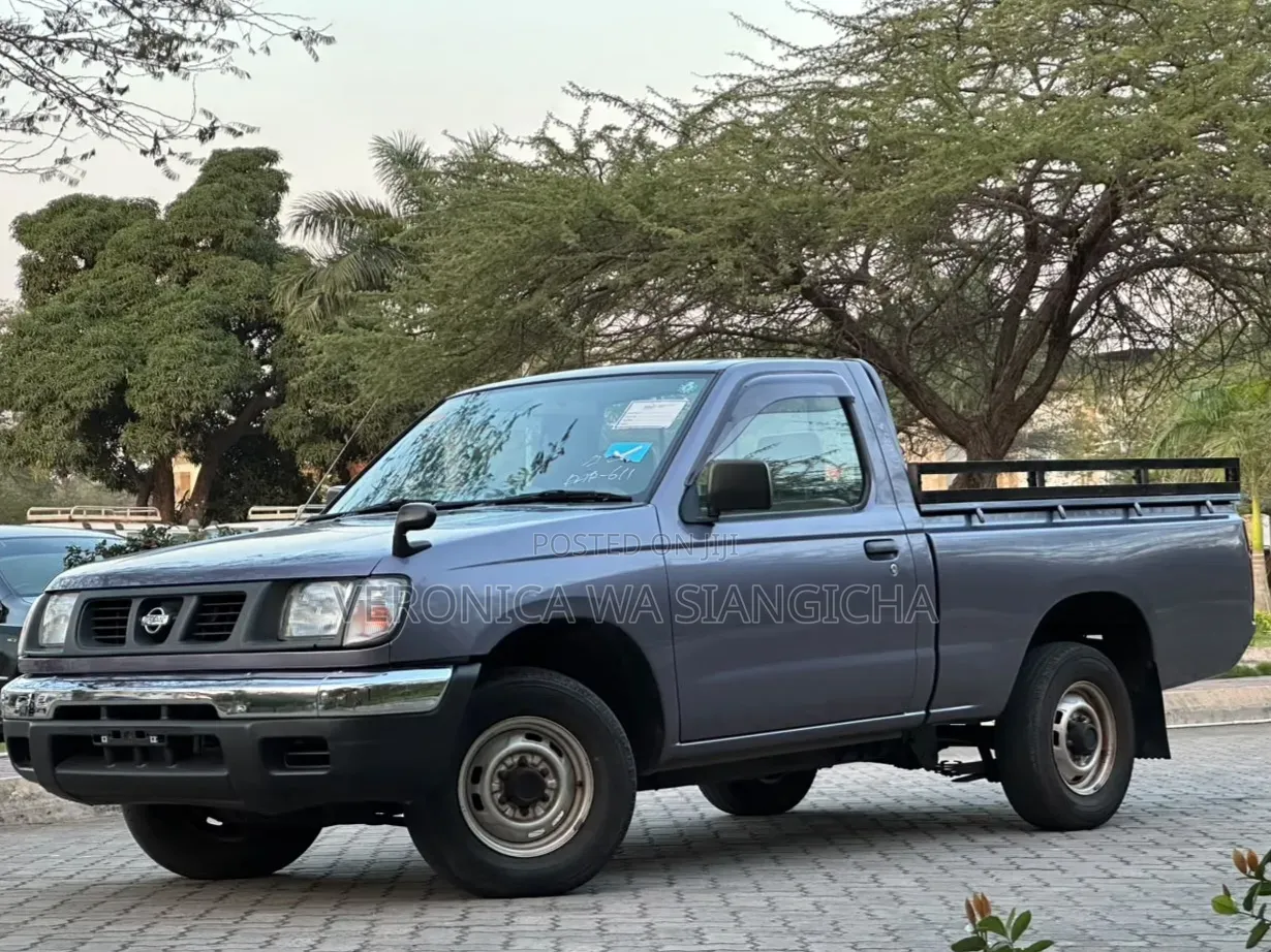 Nissan DoubleCab 2001 Gray
