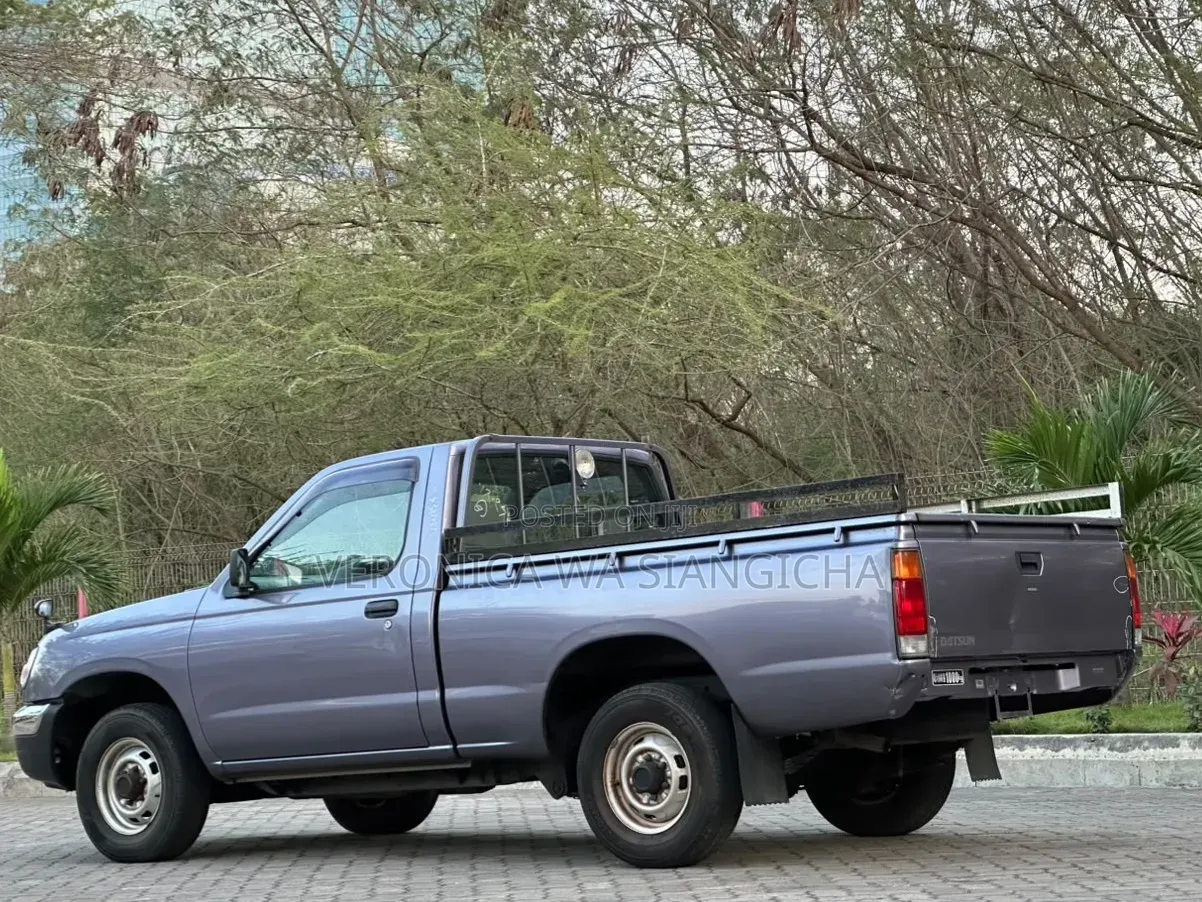Nissan DoubleCab 2001 Gray