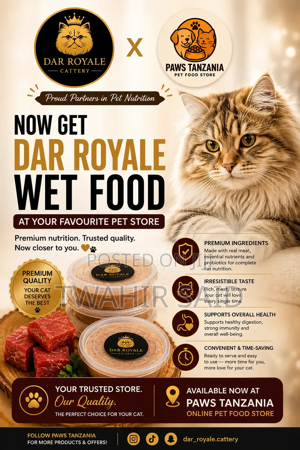 Dar Royale Cattery