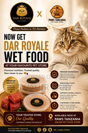 Dar Royale Cattery