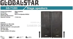 GLOBALSTAR T1203 Stage Speaker