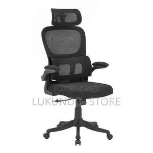 Comfortable Ergonomic Office Chair and Hone Use