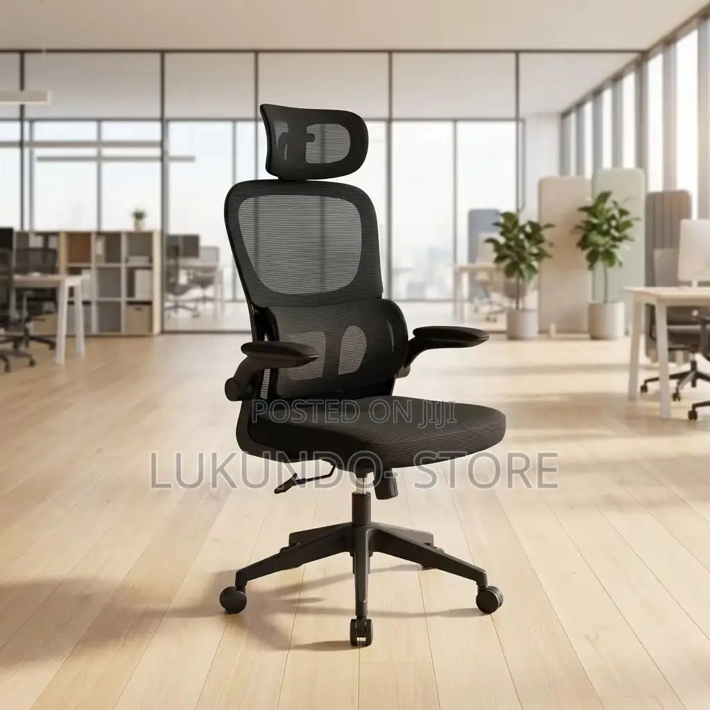 Comfortable Ergonomic Office Chair and Hone Use