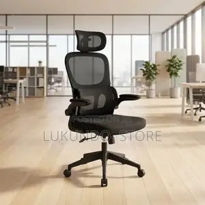 Comfortable Ergonomic Office Chair and Hone Use