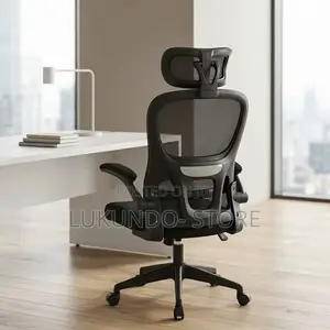 Comfortable Ergonomic Office Chair and Hone Use