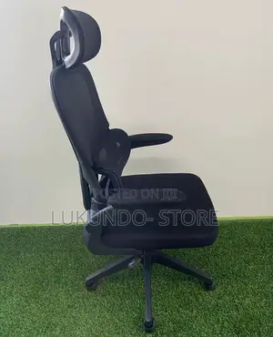 Comfortable Ergonomic Office Chair and Hone Use