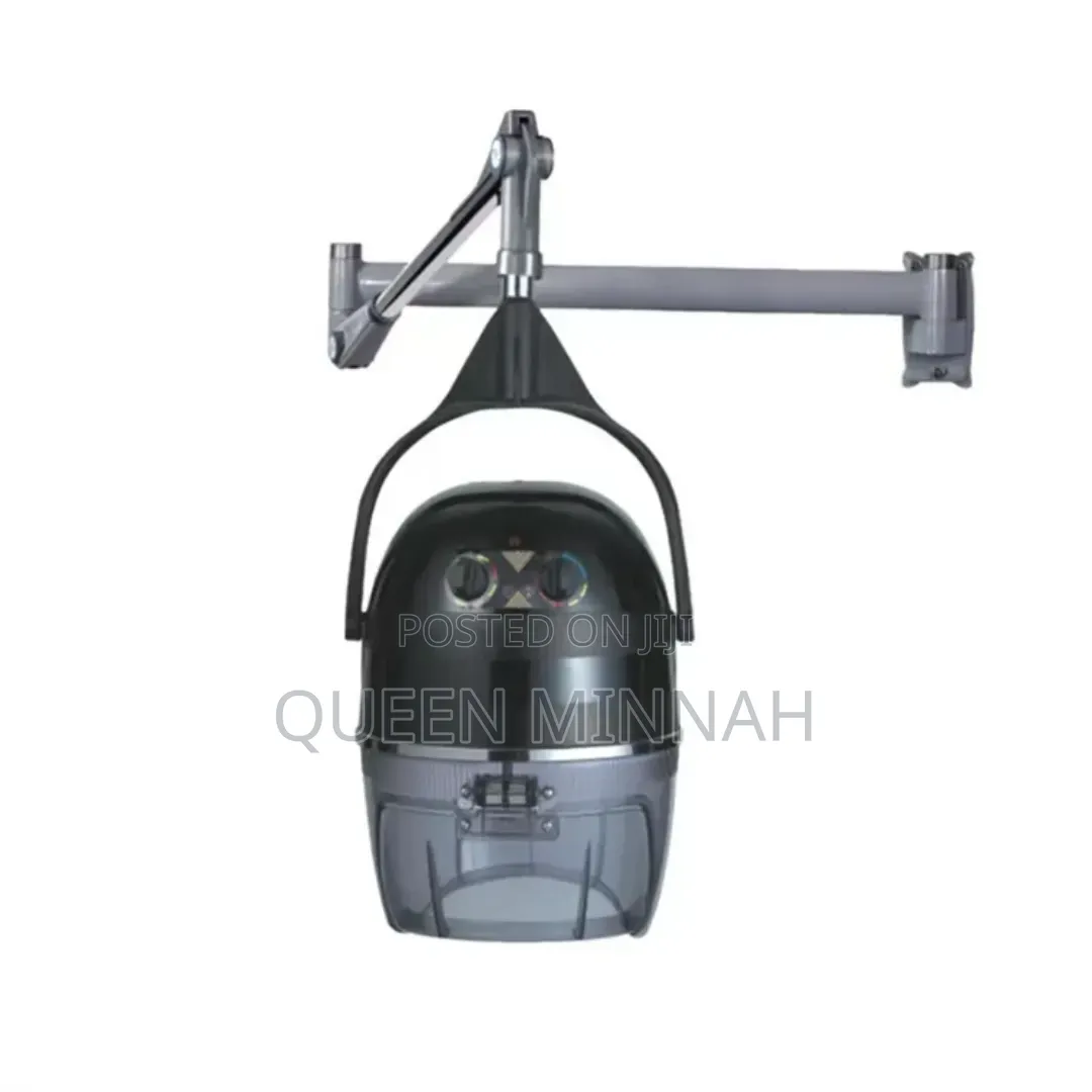 Wall-Mounted Hair Dryer/ Salon Hair Steamer
