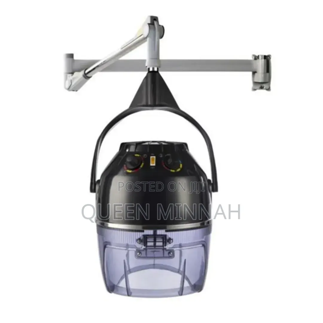 Wall-Mounted Hair Dryer/ Salon Hair Steamer