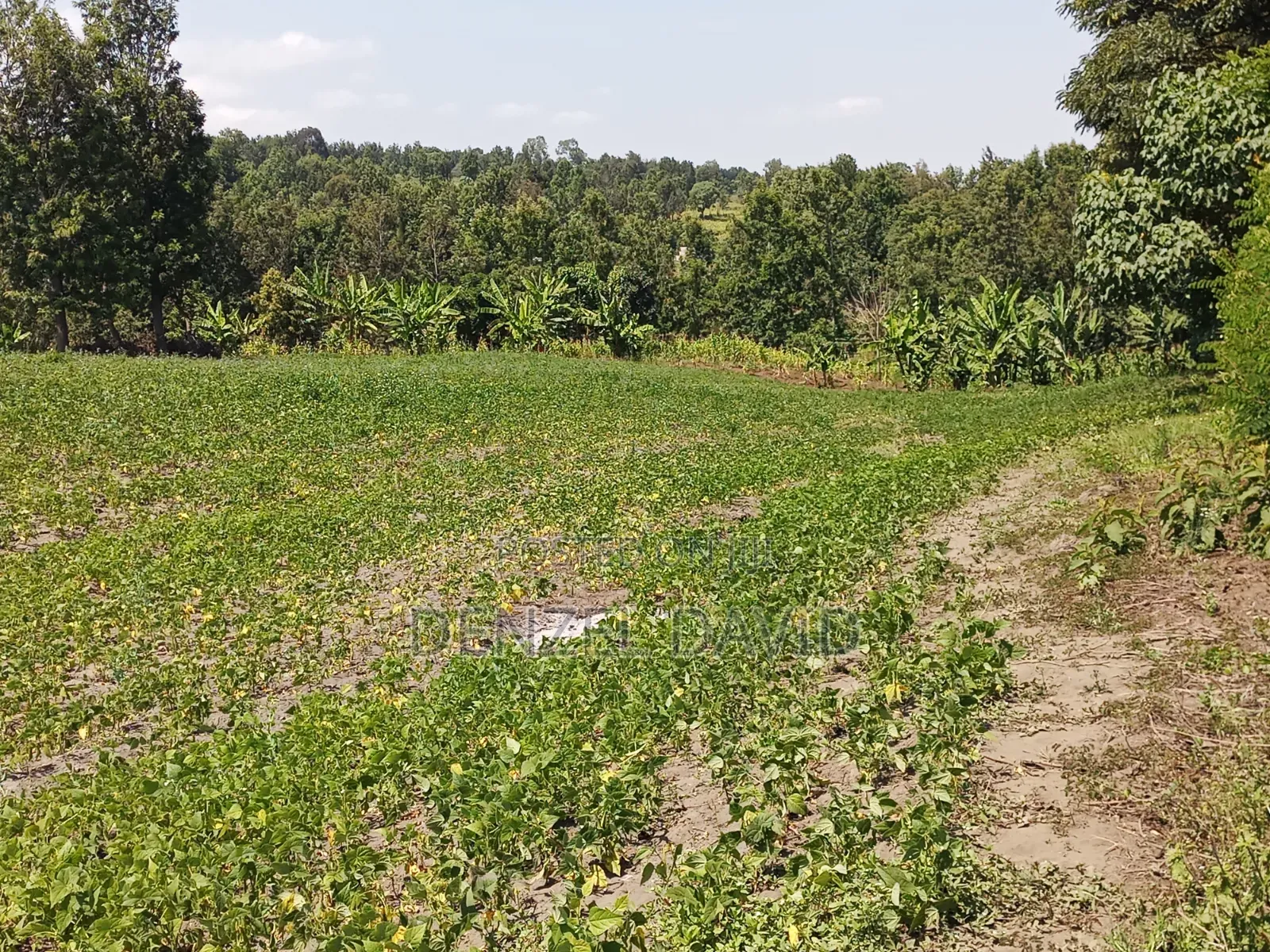 Shamba for Sale in Handeni Mkata